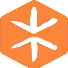 Logo of CESVI
